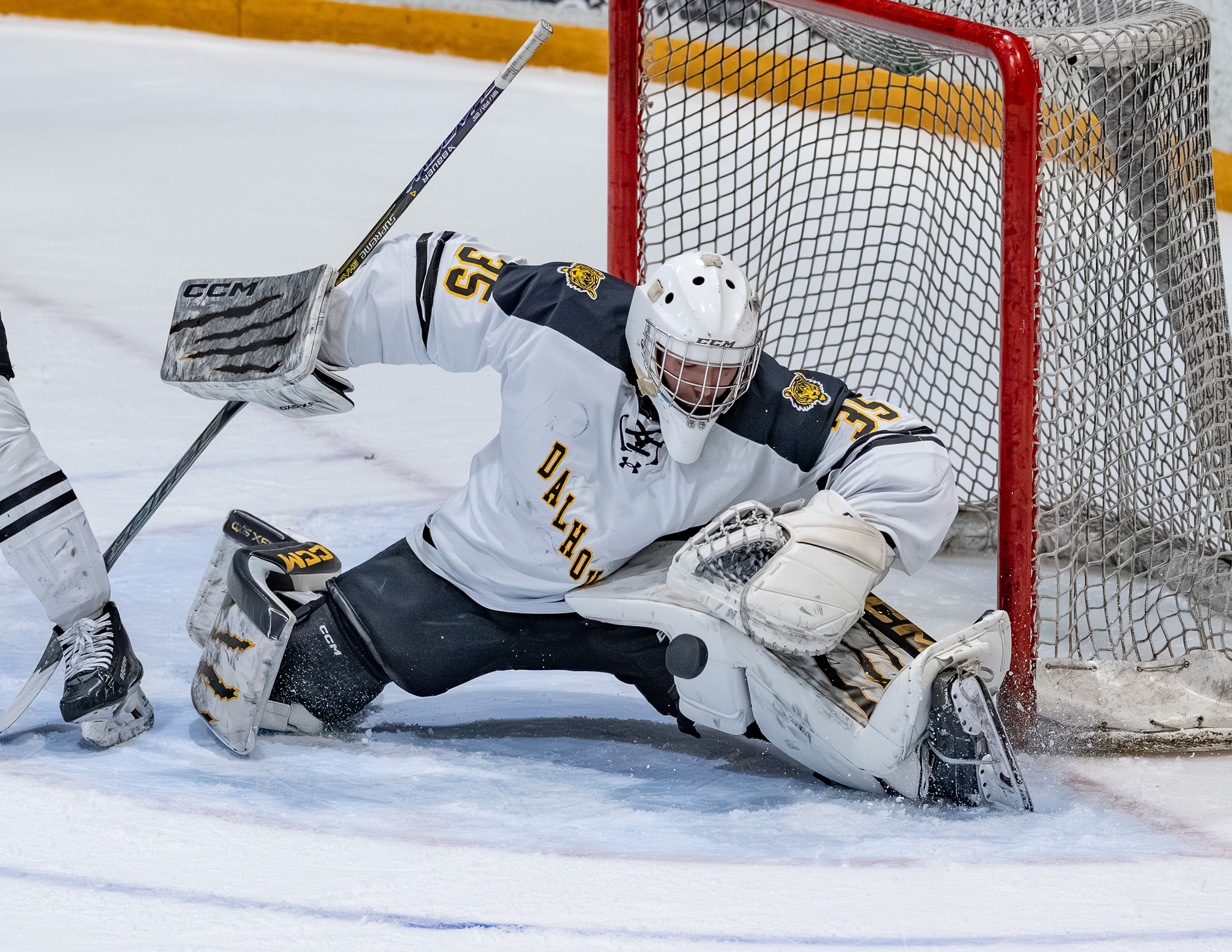 Goaltender in a white Dalhousie jersey sprawls across the crease making a pad save, with the puck deflecting off their leg as the red goal frame looms behind.